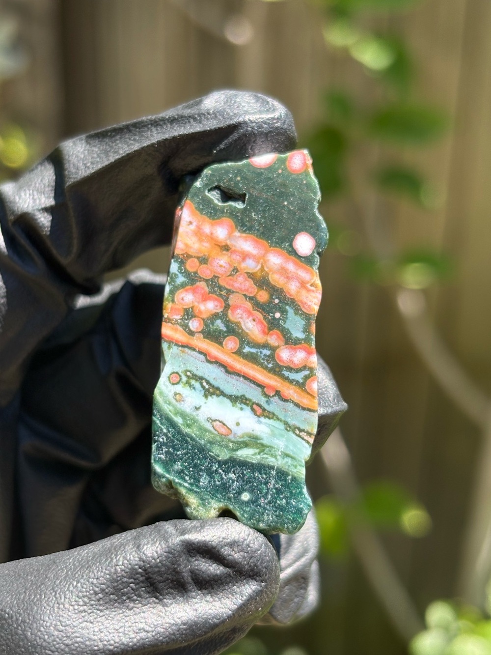 Extra Small Ocean Jasper Slab - Orbicular Jasper - Polished Sea Jasper